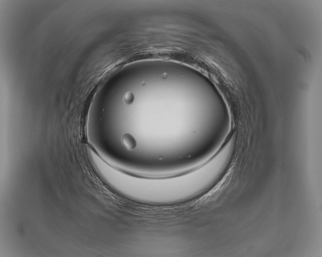 X0000112471353200908241224