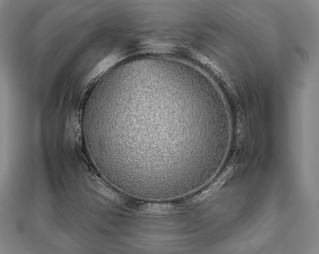 X0000112471354200908241224