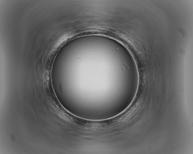 X0000112471355200908241224