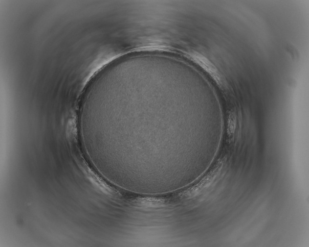 X0000112471356200908241224