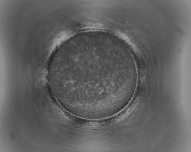 X0000112471357200908241224