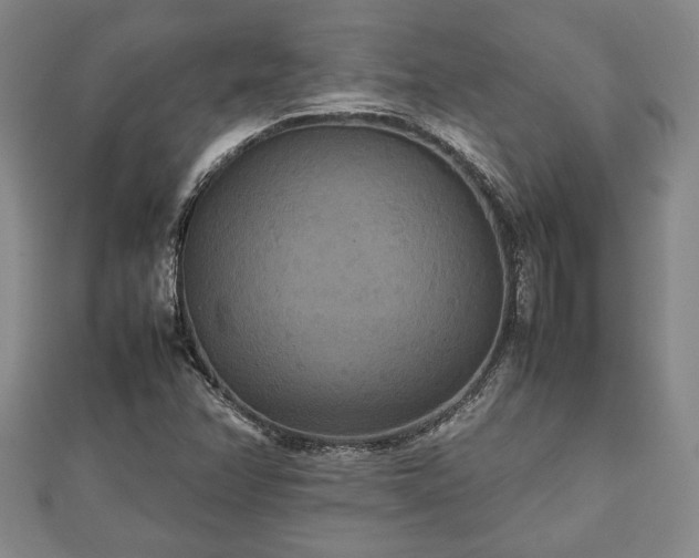 X0000112471358200908241224