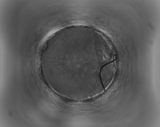 X0000112471359200908241224