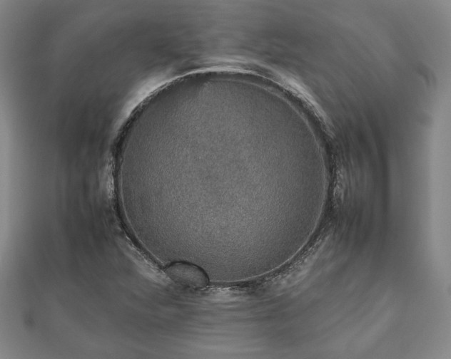 X0000112471360200908241224