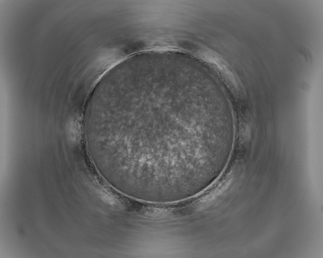 X0000112471361200908241224