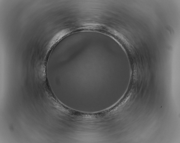 X0000112471362200908241224