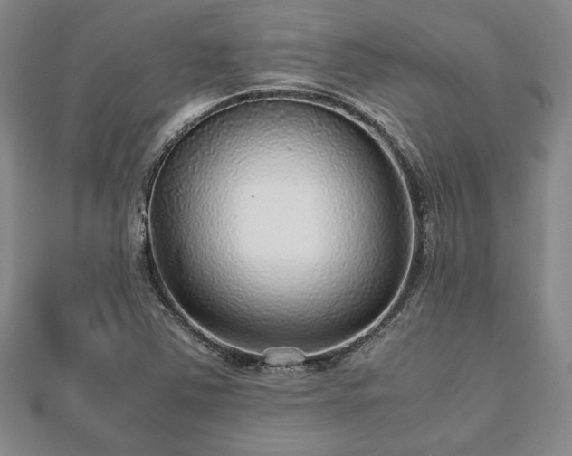 X0000112471363200908241224