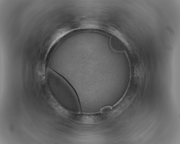 X0000112471364200908241224