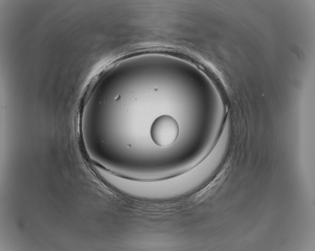 X0000112471365200908241224