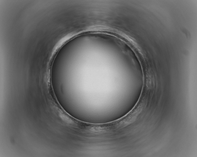 X0000112471366200908241224