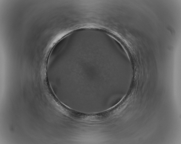 X0000112471367200908241224