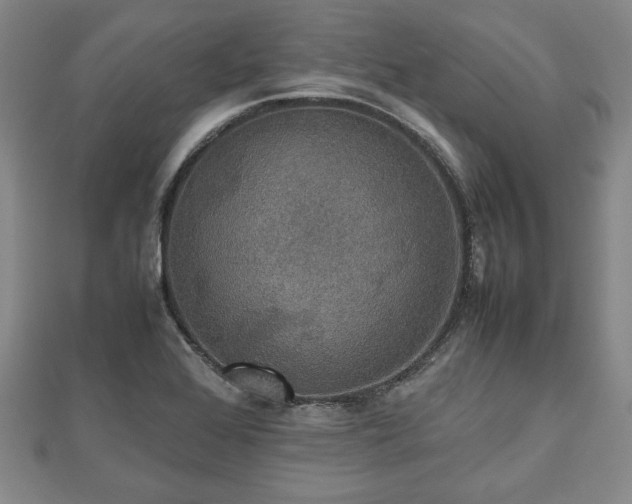 X0000112471368200908241224