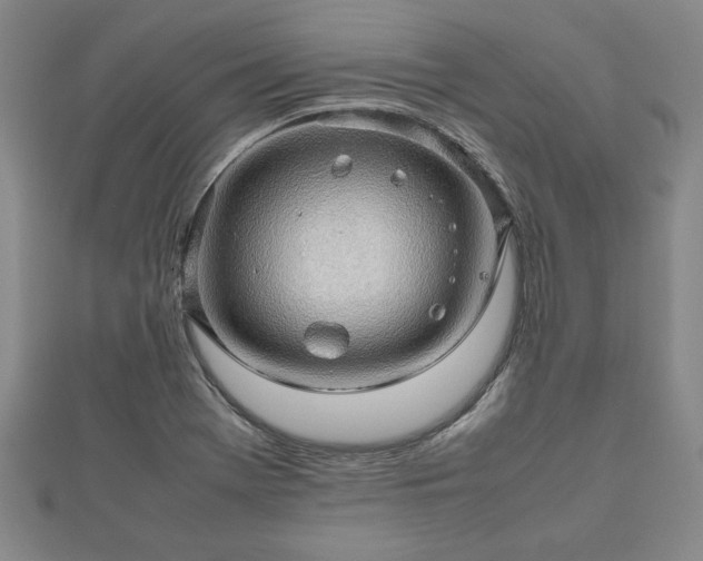 X0000112471369200908241224