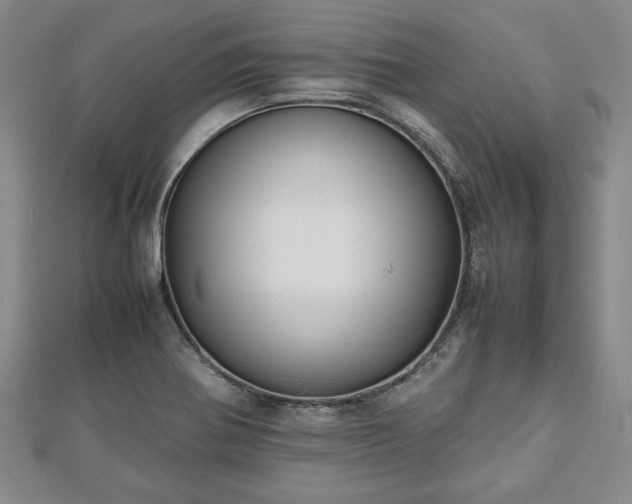 X0000112471370200908241224