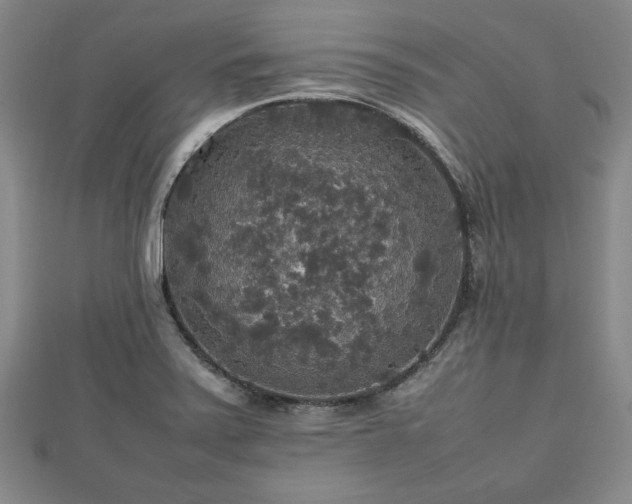 X0000112471371200908241224