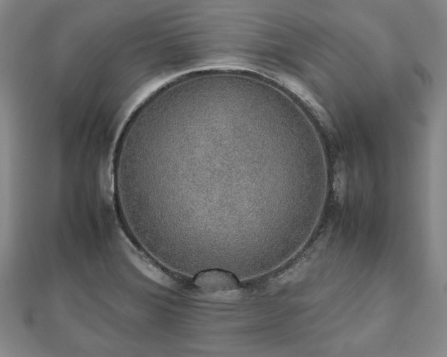 X0000112471372200908241224