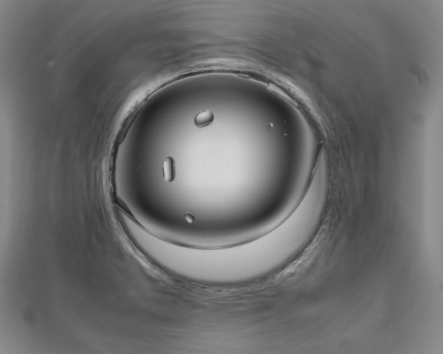 X0000112471373200908241224