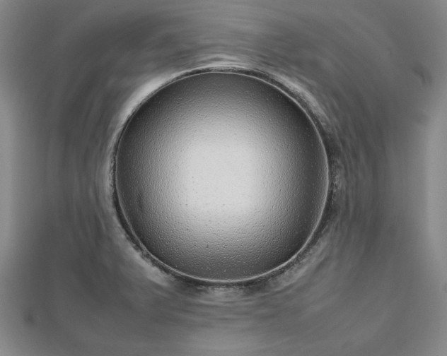 X0000112471375200908241224