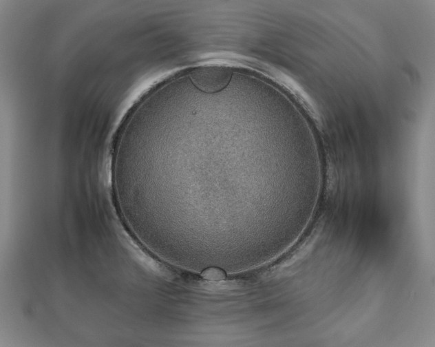 X0000112471376200908241224