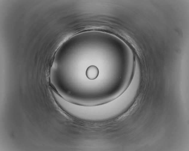 X0000112471377200908241224