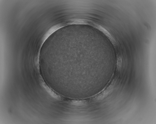 X0000112471378200908241224