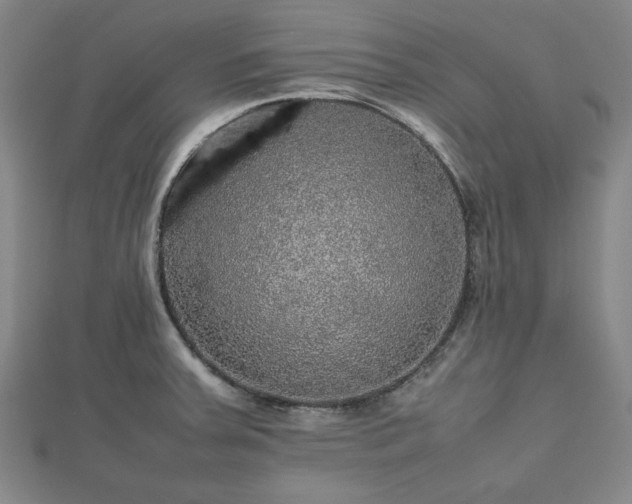 X0000112471379200908241224