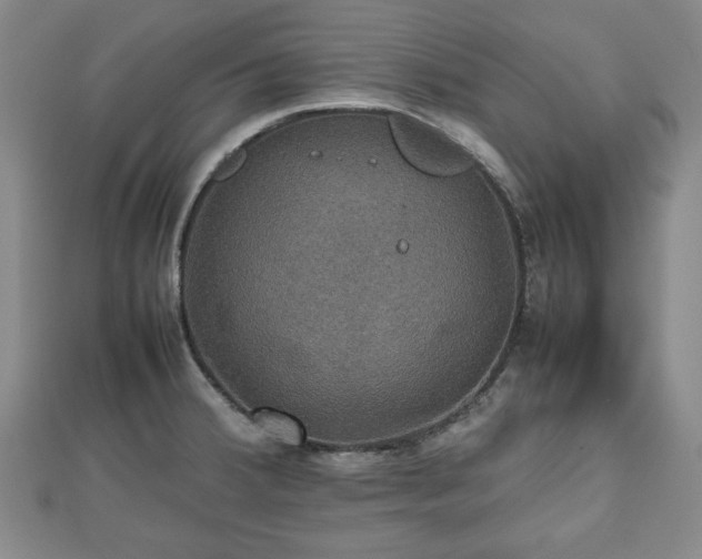 X0000112471380200908241224