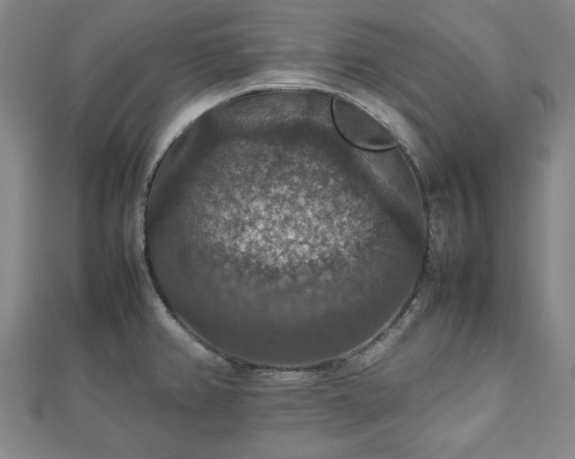 X0000112471382200908241224