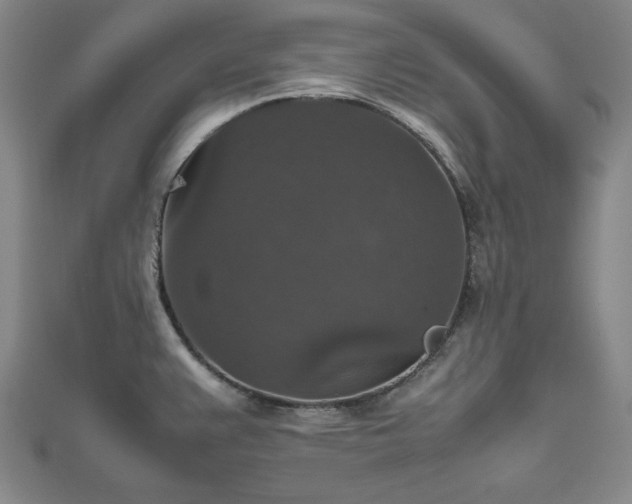 X0000112471383200908241224