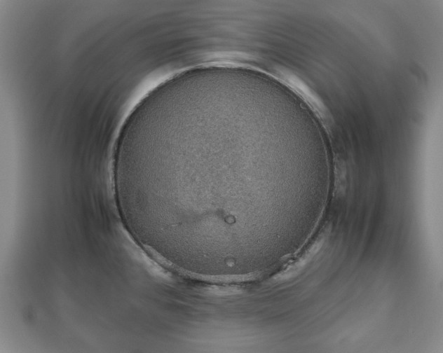 X0000112471384200908241223