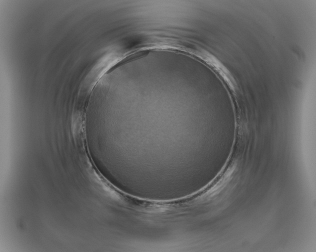 X0000112471385200908241223