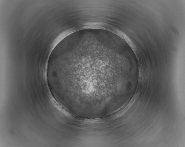 X0000112471386200908241223