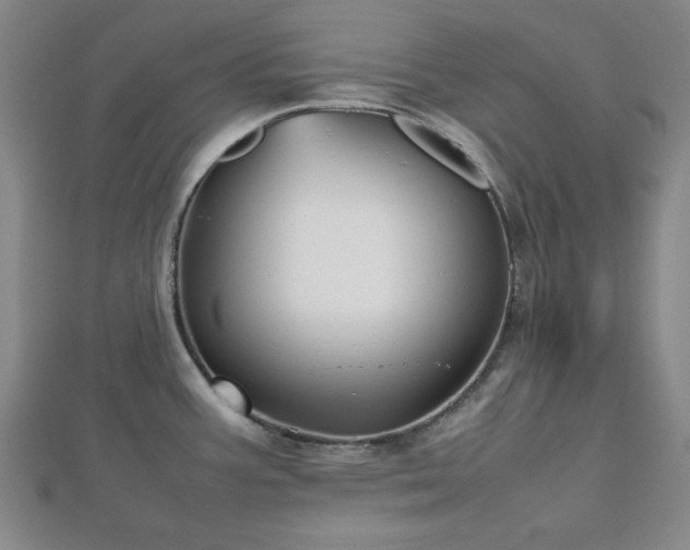 X0000112471387200908241223