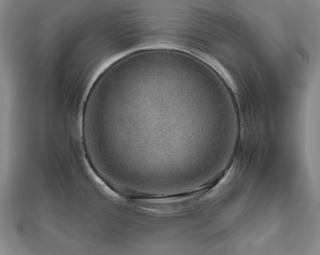 X0000112471388200908241223