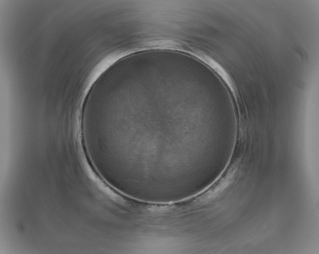 X0000112471389200908241223