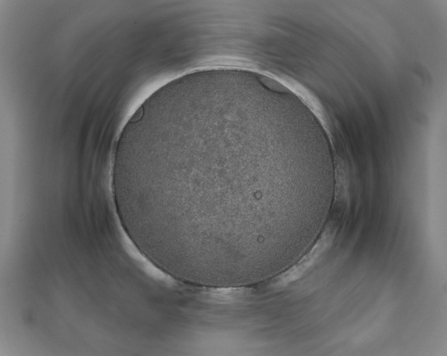 X0000112471390200908241223