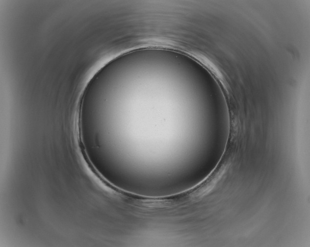 X0000112471391200908241223