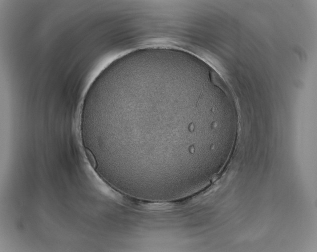 X0000112471392200908241223