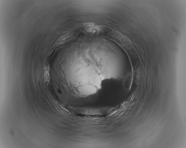 X0000112471394200908241223