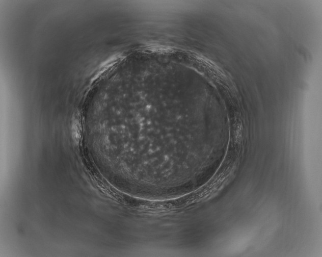 X0000112471397200908241223