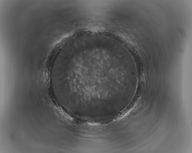 X0000112471398200908241223