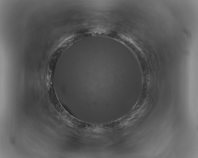 X0000112471399200908241223