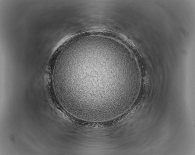 X0000112471400200908241223