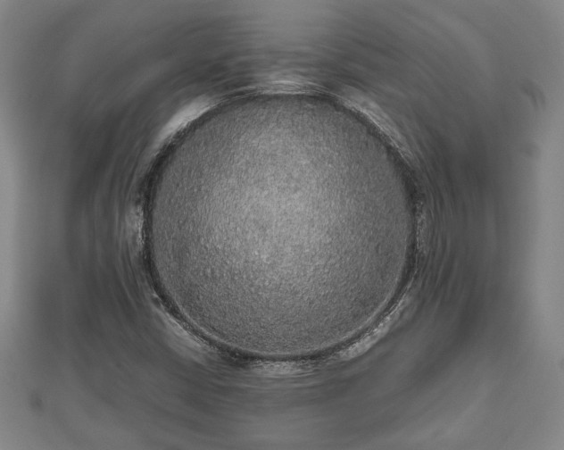 X0000112471402200908241223