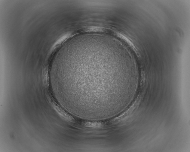 X0000112471403200908241223