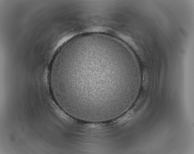 X0000112471404200908241223