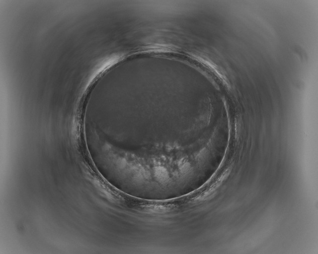 X0000112471405200908241223