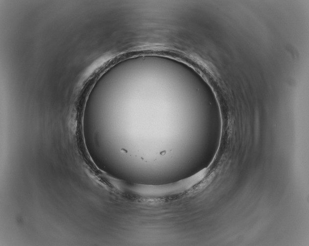 X0000112471406200908241223