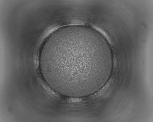 X0000112471407200908241223