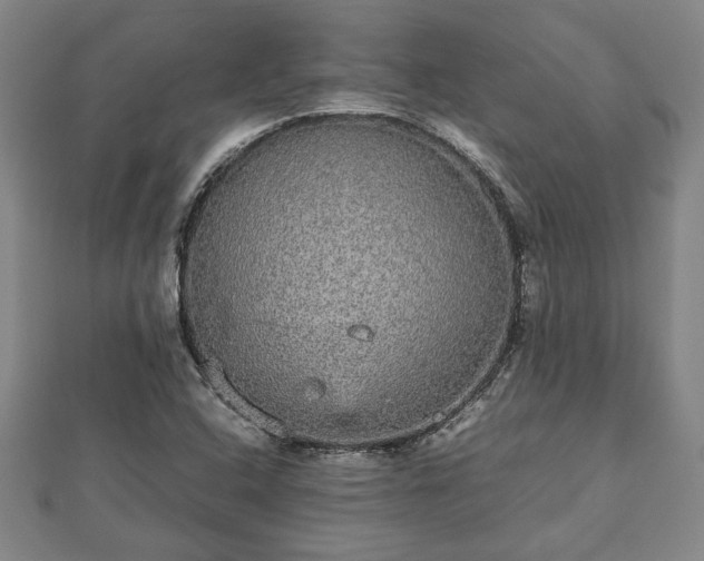 X0000112471408200908241223